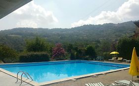 Swimming And Sun